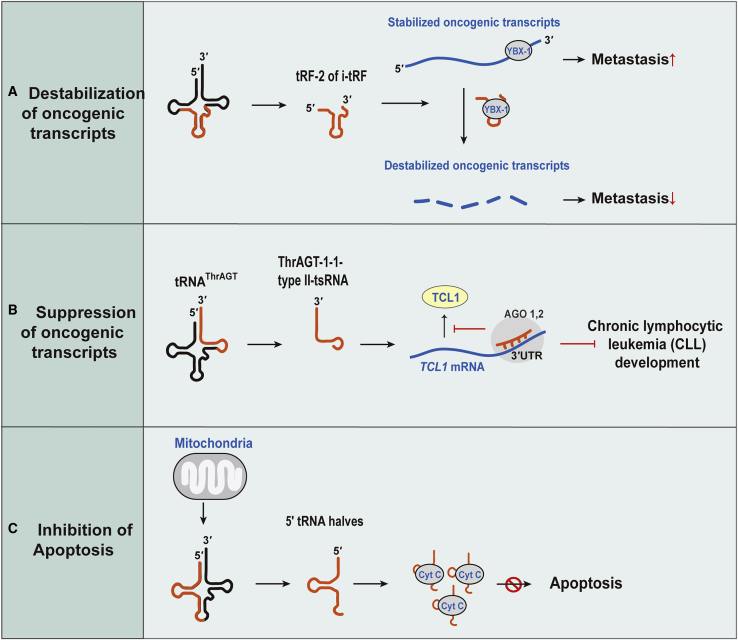 Figure 7