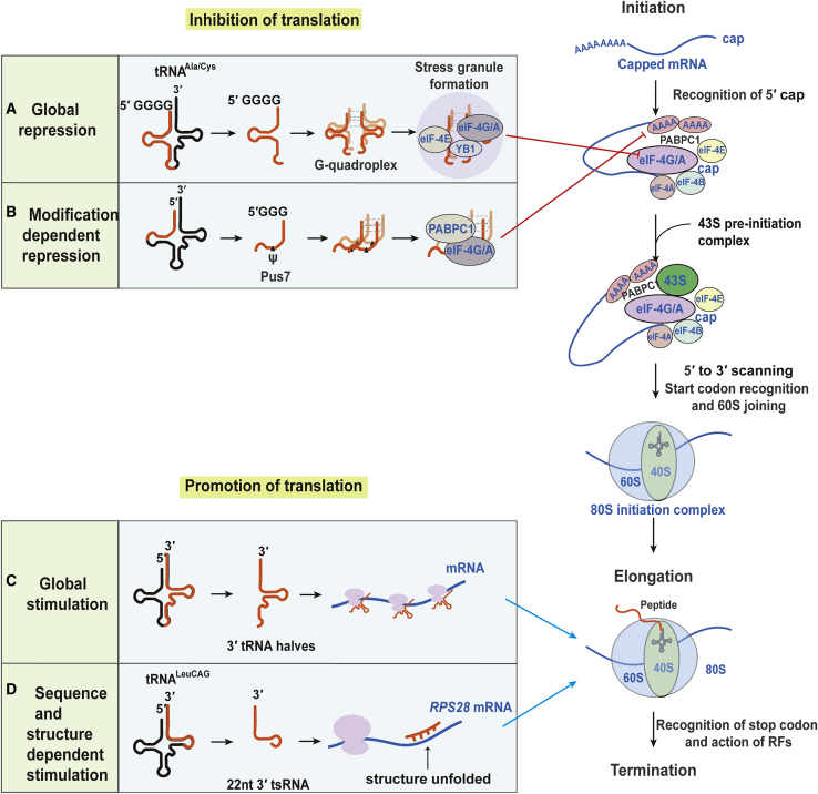 Figure 6