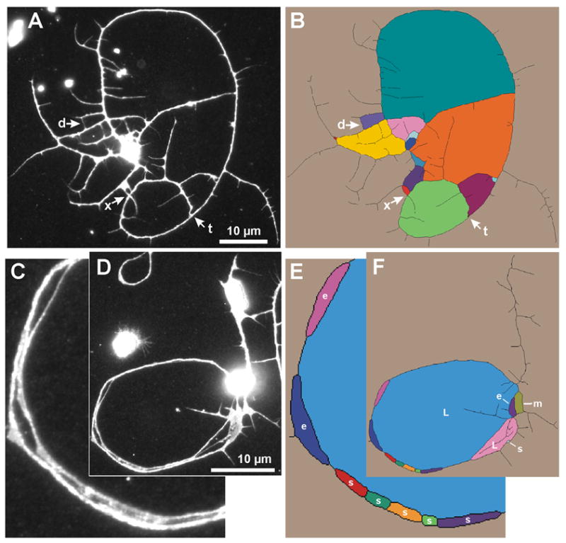 Fig. 6