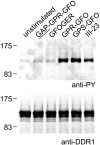 Fig. 5