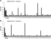 Fig. 10