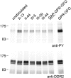 Fig. 6