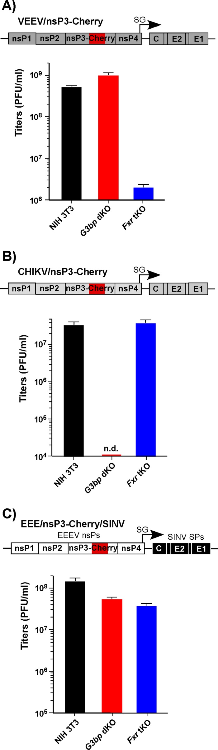 FIG 2