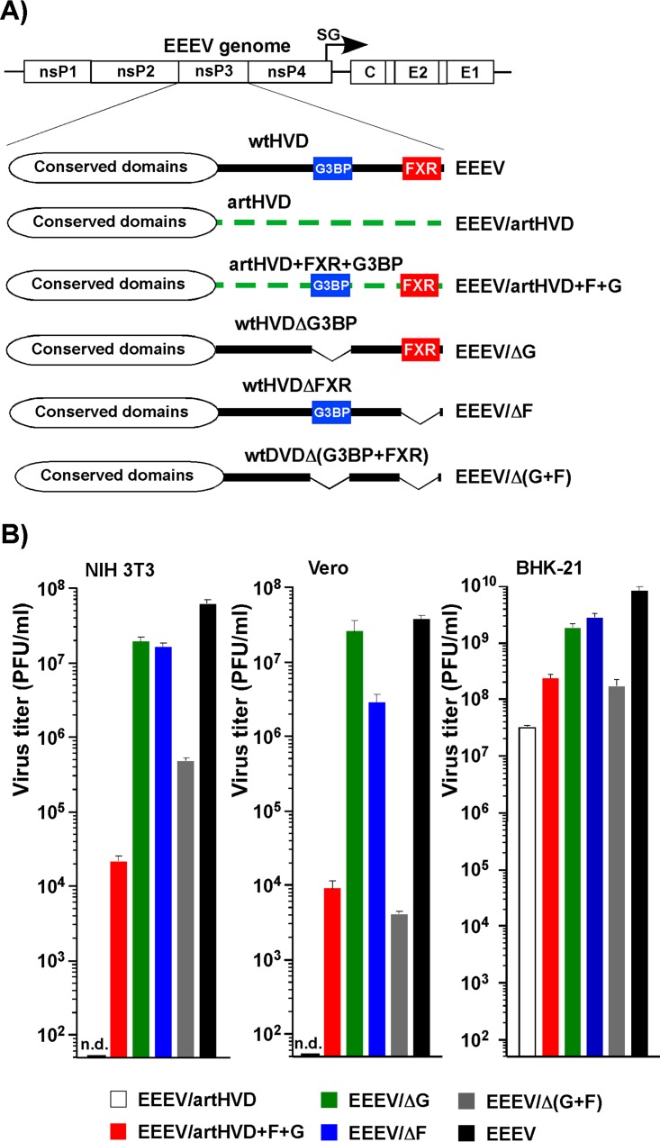 FIG 10