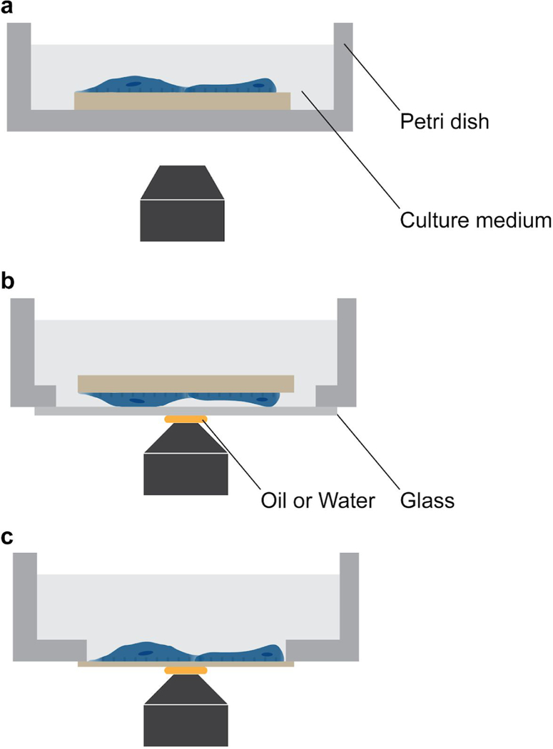 Fig. 7 |