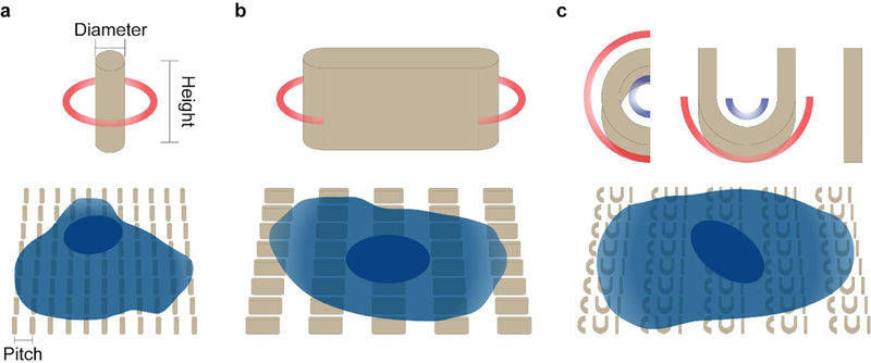 Fig. 1 |