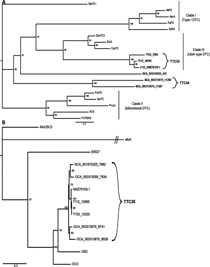 FIG 5