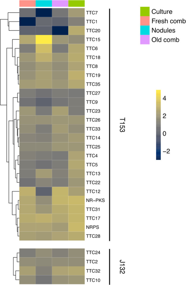 FIG 6