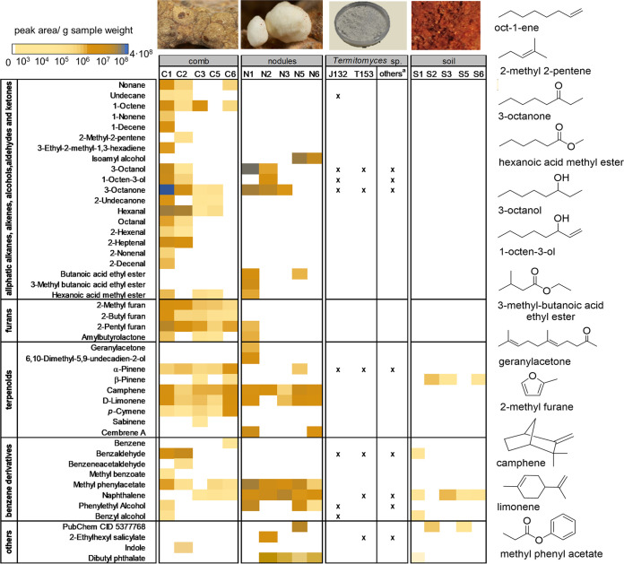 FIG 2