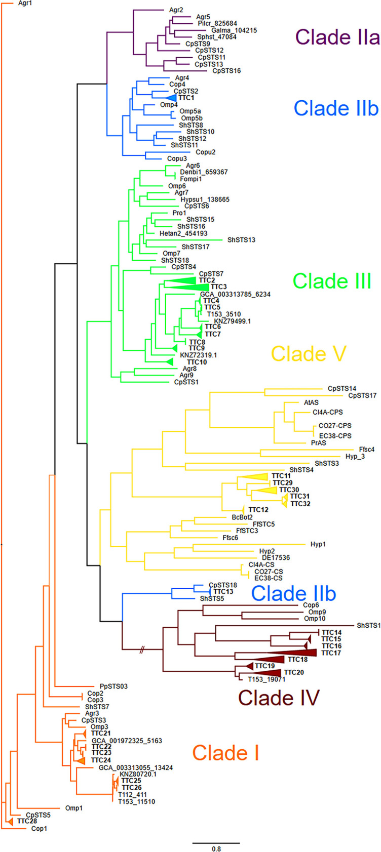 FIG 4