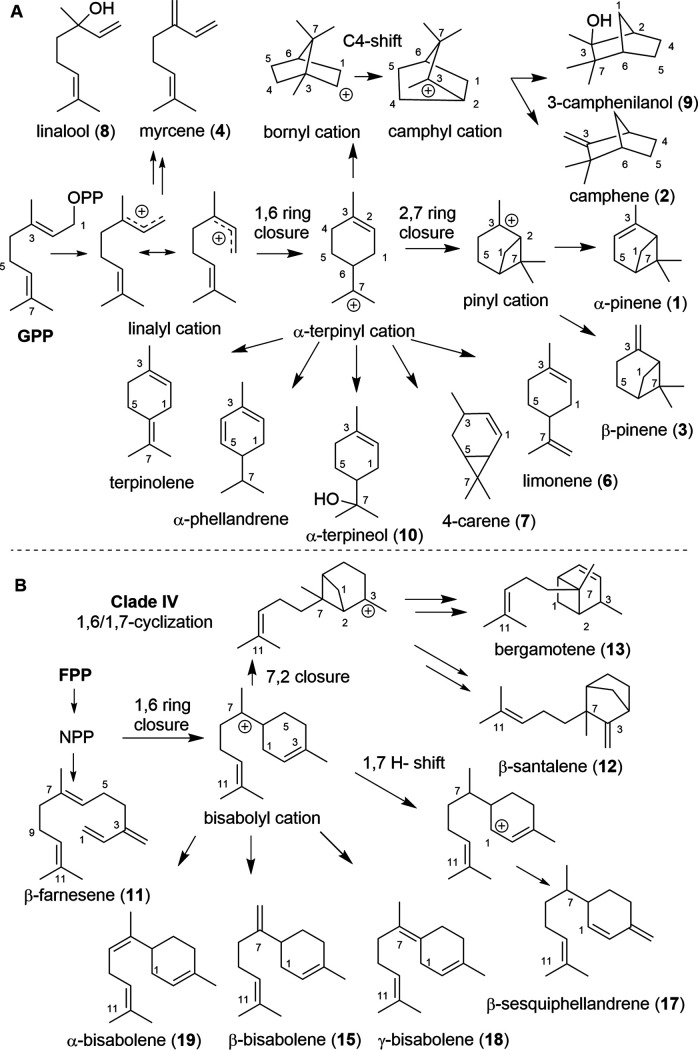 FIG 8