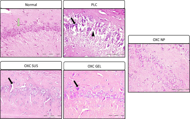 Fig. 6