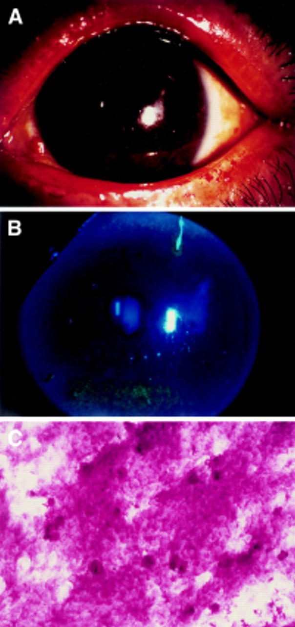 Figure 3  