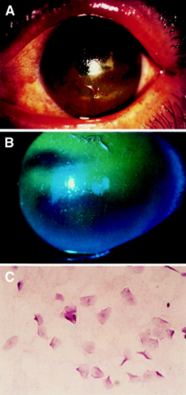 Figure 2  