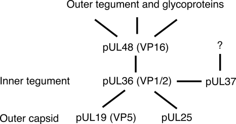 FIG. 5.