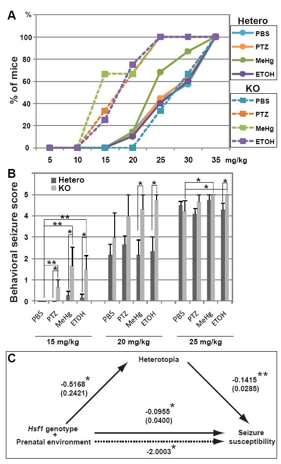 Fig.3