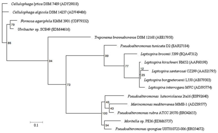 Figure 5