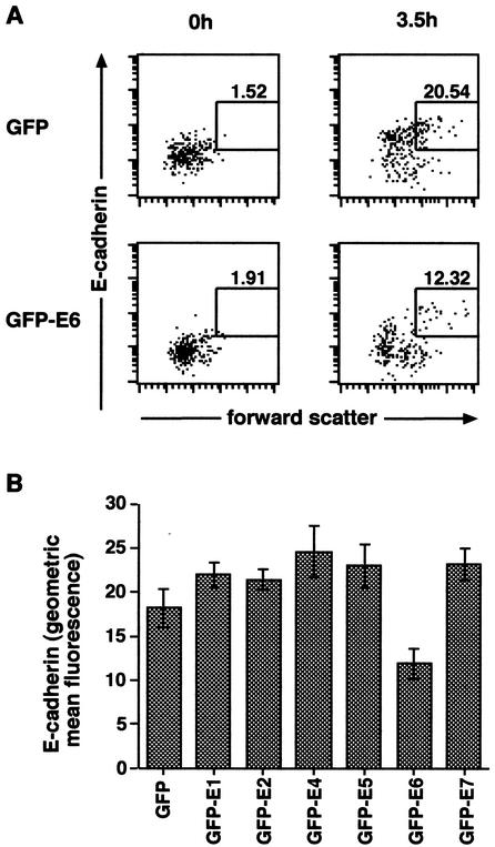 FIG. 6.