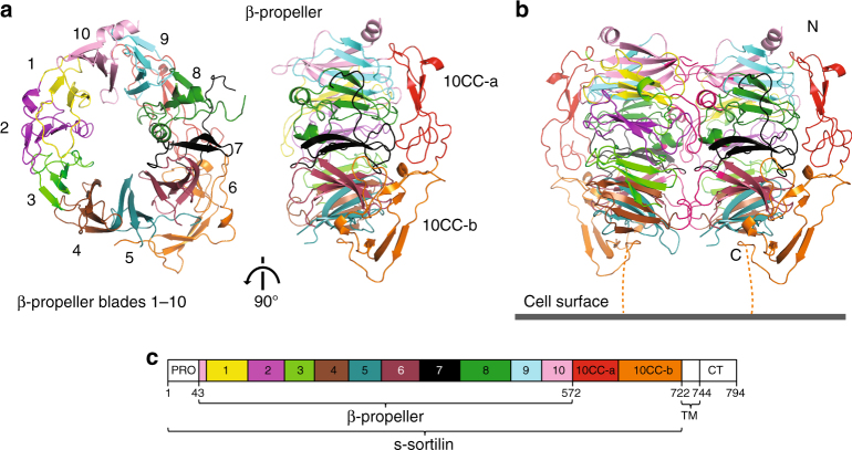 Fig. 1