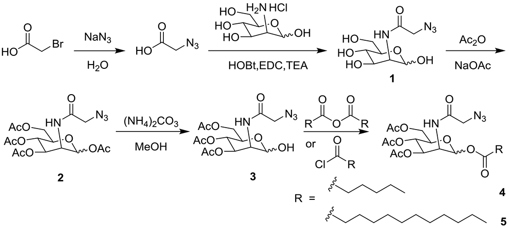 Scheme 2.