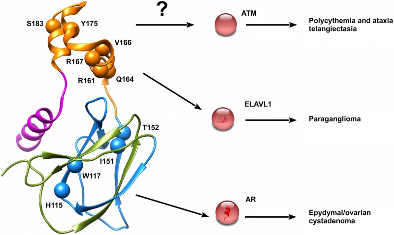 Fig 5