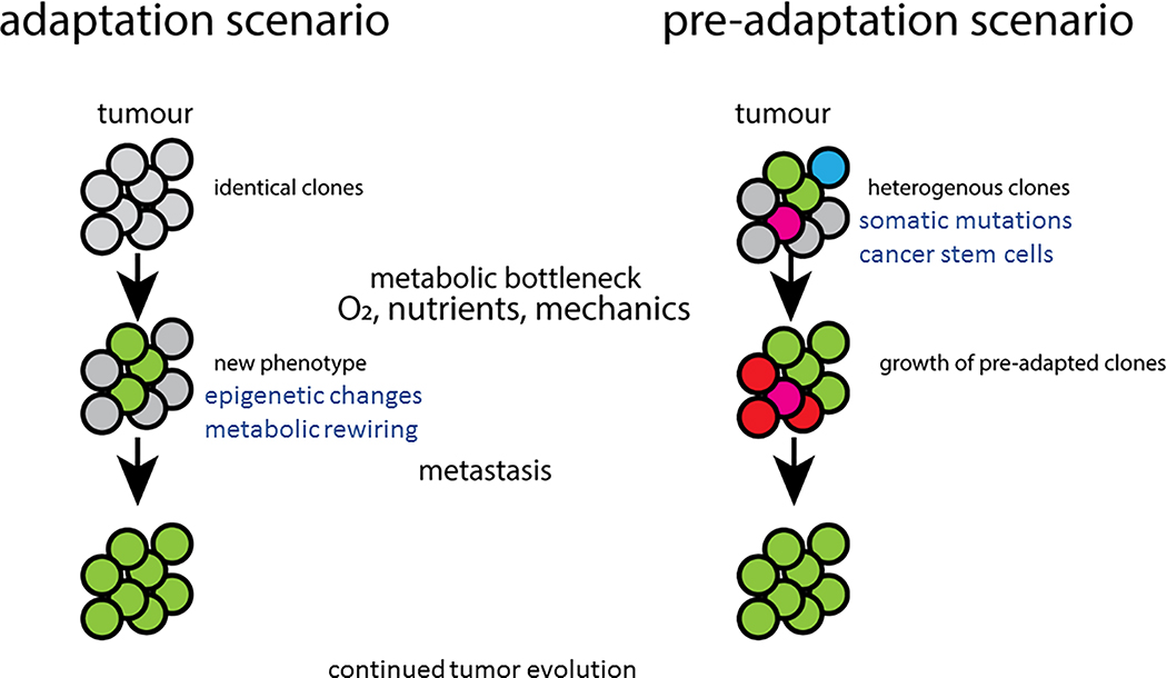 Figure 2: