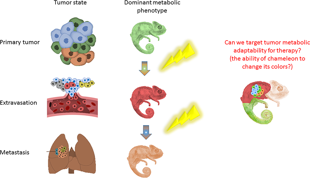 Figure 3: