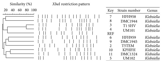 Figure 5