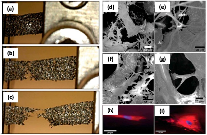 Figure 23