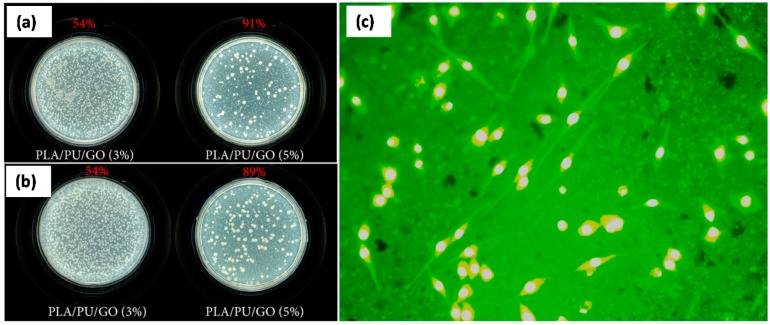 Figure 25