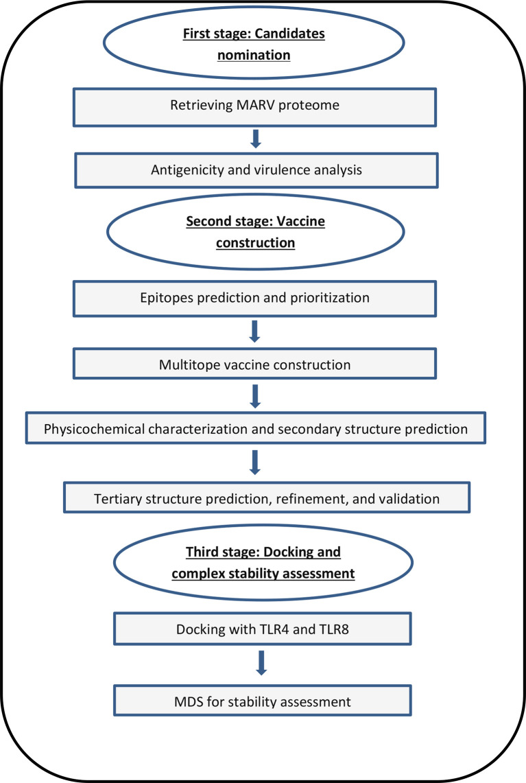 Figure 1