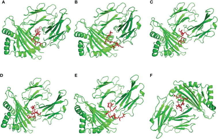 Figure 2