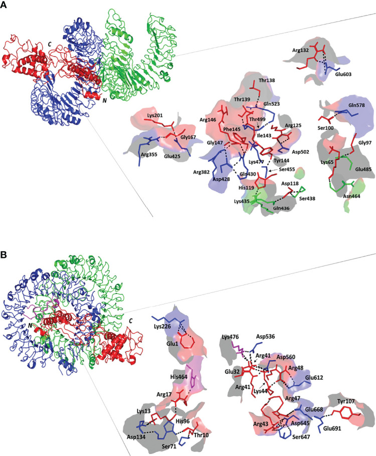 Figure 4