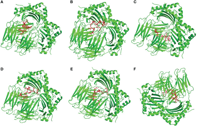 Figure 3