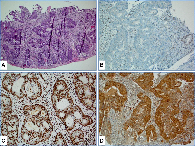 Fig. 1