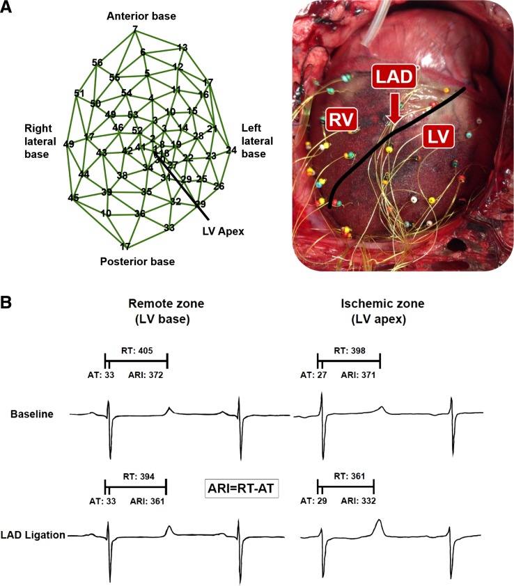 Fig. 2.