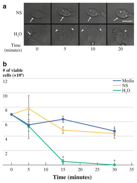 FIG. 1