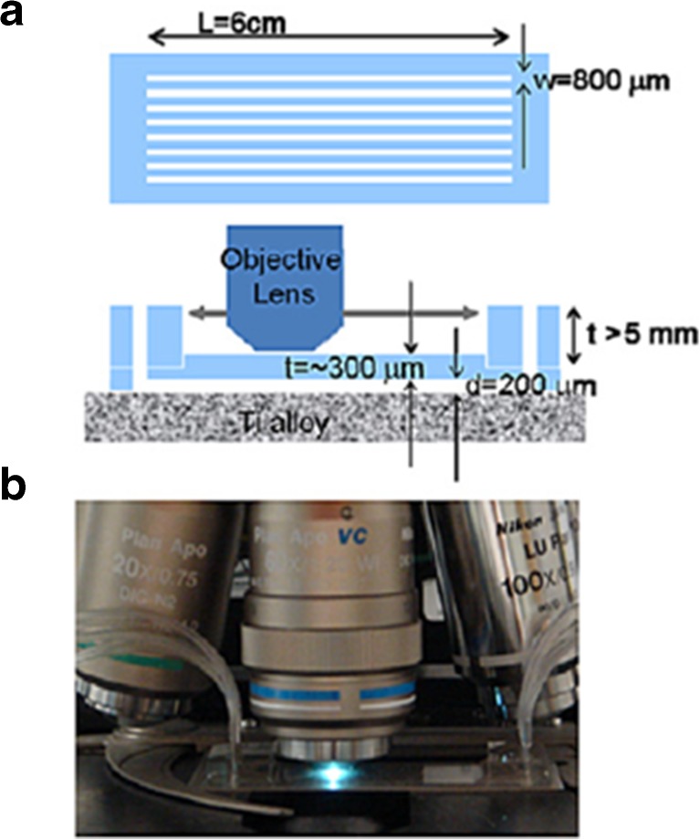 Fig. 11