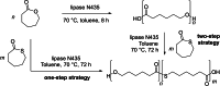 Scheme 29