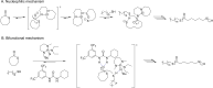 Scheme 28