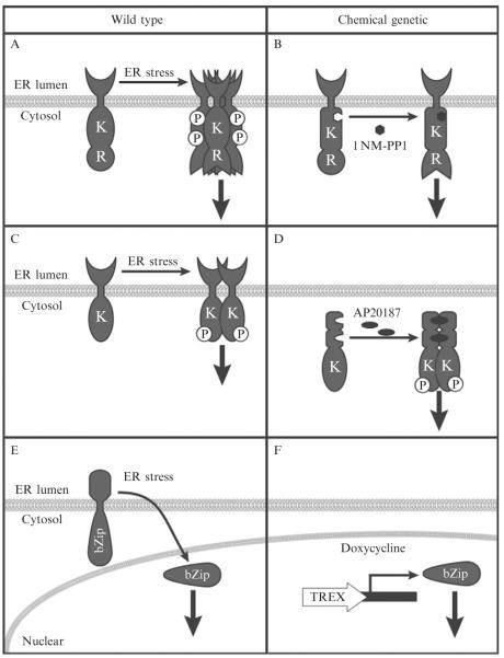 Figure 11.1