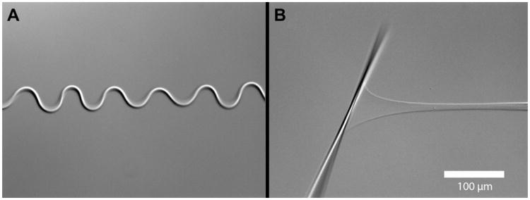 Fig. 11