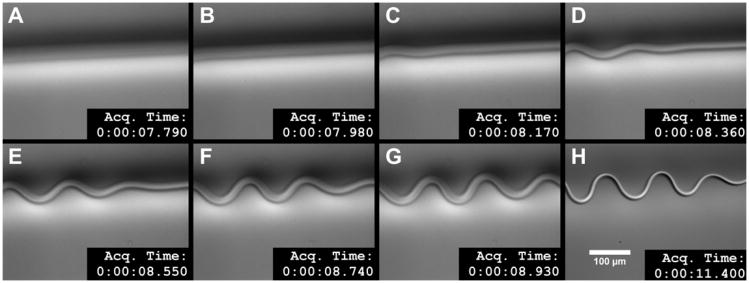 Fig. 12