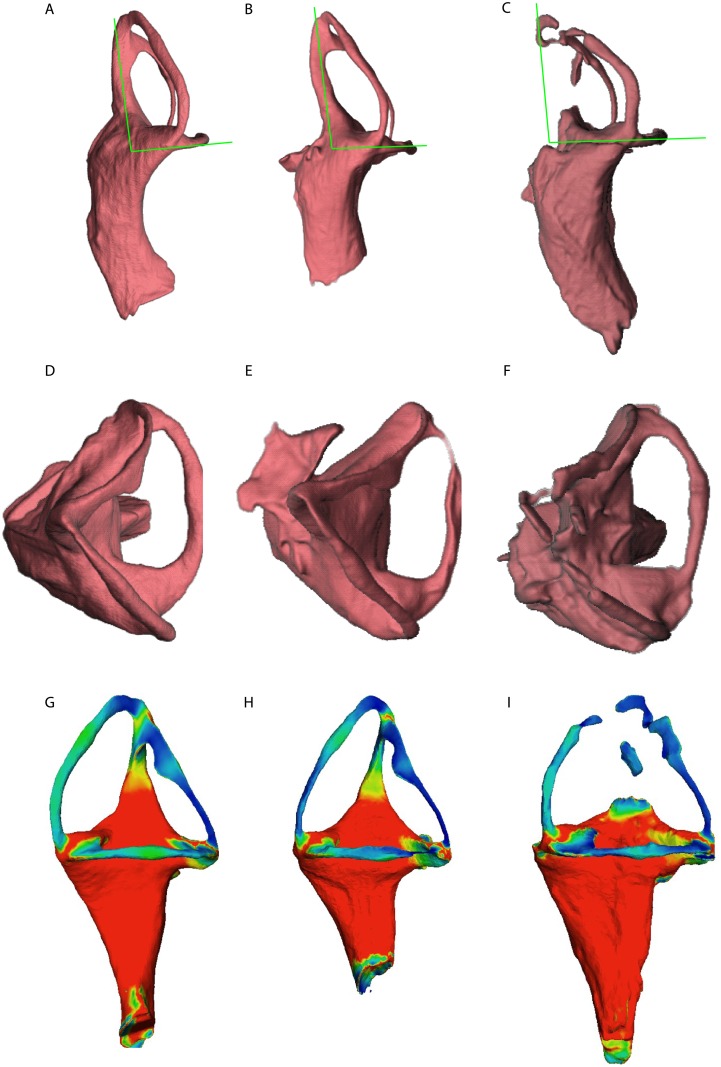 Fig 12