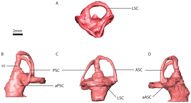 Fig 13