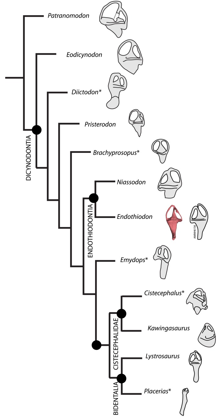 Fig 15