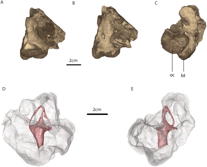 Fig 2