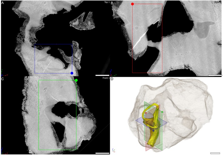 Fig 6