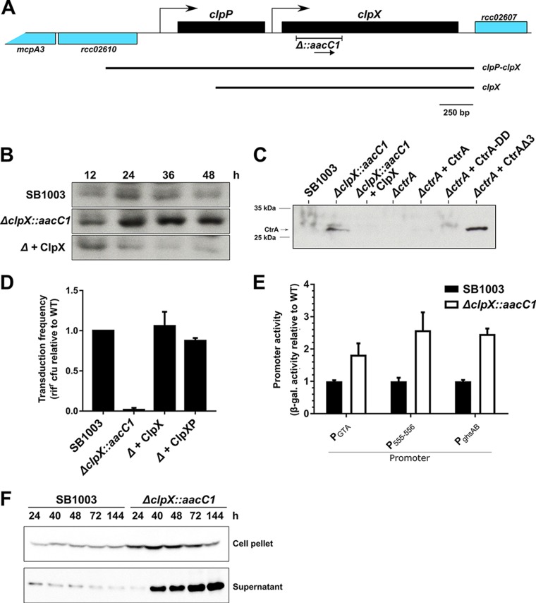 FIG 3