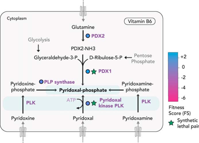 Figure 5.